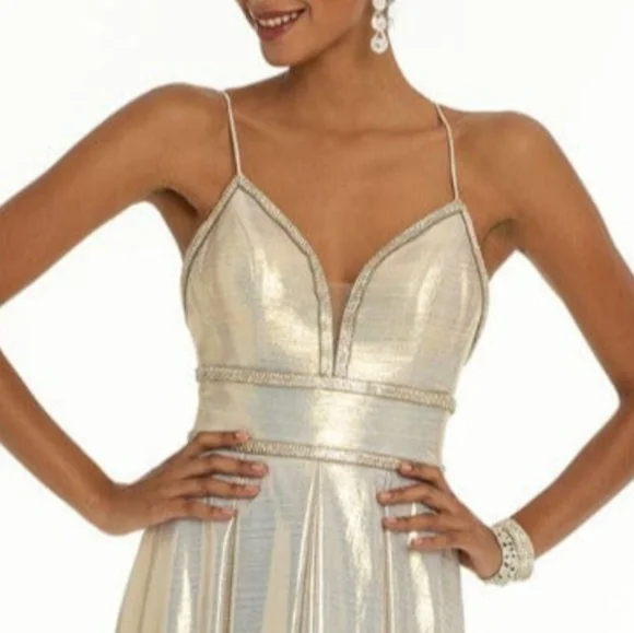 Camille Dress Metallic Sweetheart Rhinstone Maxi Champagne Plus Size 14 - Picture 4 of 17